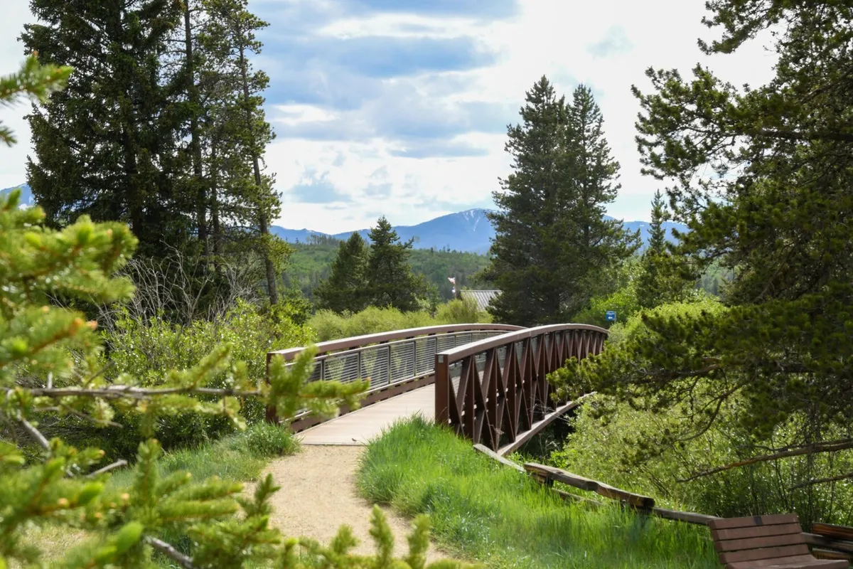 A tranquil scene featuring a wooden bridge set amidst lush greenery with a stunning mountain backdrop. The setting invites walking, biking, and nature observation, embodying the spirit of outdoor exploration.